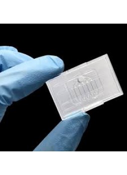   Rapit Çip / PCR Çip GENECHECKER™